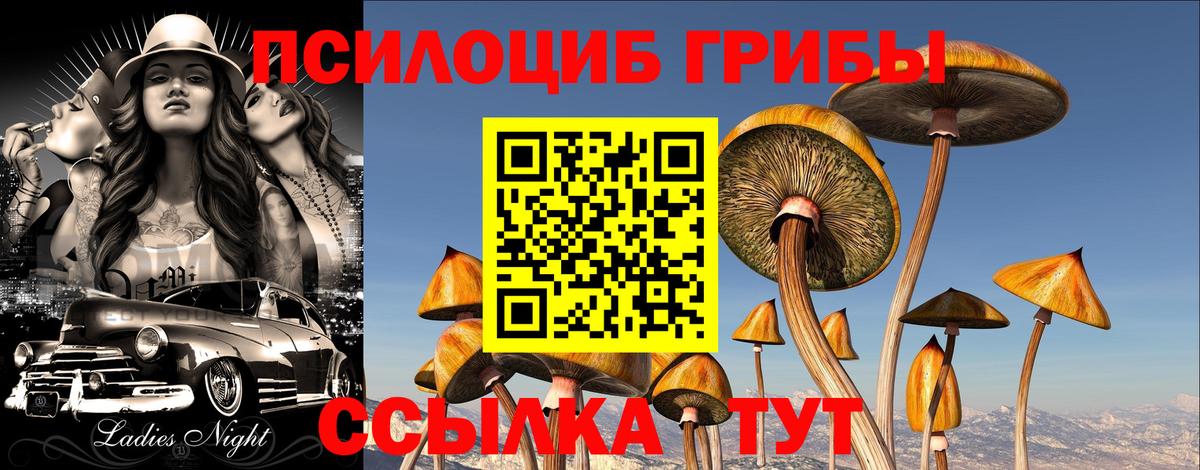 Галлюциногенные грибы прущие грибы  Вход с VPN  Тайшет  Галлюциногенные грибы GOLDEN TEACHER 