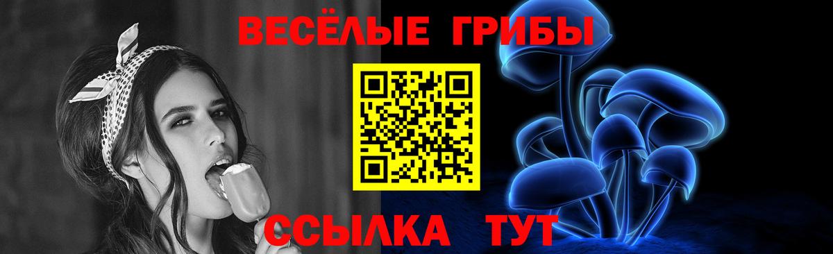 Псилоцибиновые грибы Psilocybine cubensis Тайшет